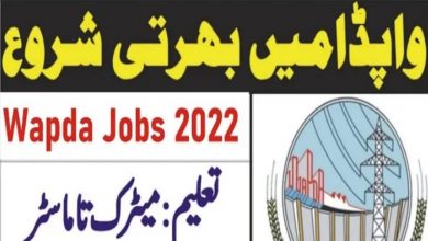 WAPDA Jobs 2022 Download Application Form via www.pts.org.pk