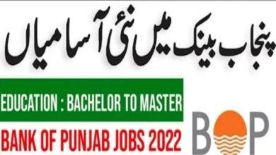 Banking Jobs at Bank of Punjab – BOP Jobs 2022 for Pakistanis