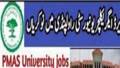 Pir Mehr Ali Shah ARID Agriculture University Rawalpindi Jobs