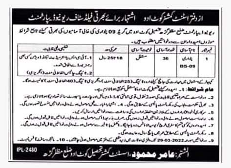 Revenue Department Patwari Jobs in Kot Addu Muzaffargarh