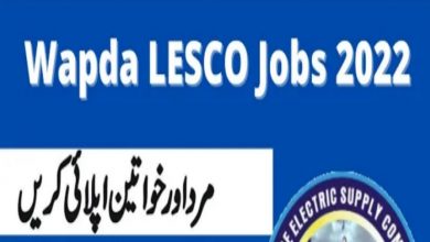 Lahore Electric Supply Company LESCO Jobs 2022 Form Download