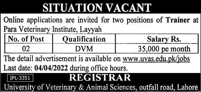 University of Veterinary and Animal Sciences UVAS Jobs