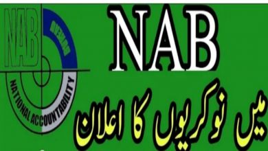 NAB Jobs 2022 for Junior Expert across Pakistan Download Form