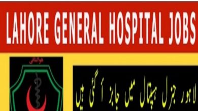 Services Hospital Lahore Jobs 2022 Medical Officers Form Download