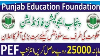 Punjab Education Foundation PEF Internships 2022