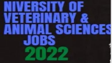 University of Veterinary and Animal Sciences UVAS Jobs