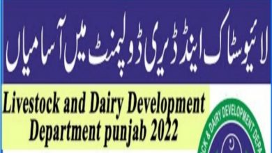 Latest Livestock and Dairy Development Department Punjab Jobs 2022