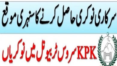 KPK Service Tribunal Jobs 2022 Download Form – www.kpst.gov.pk