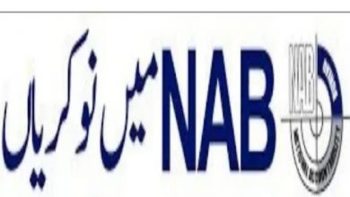 National Accountability Bureau NAB Jobs 2022 Download Form