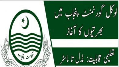 Local Government Punjab Jobs 2022 Download Online Form