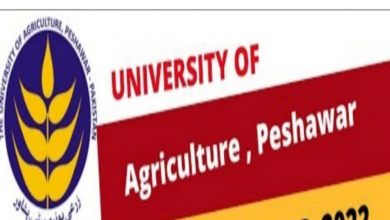 University of Agriculture Peshawar Jobs 2022 Download Form