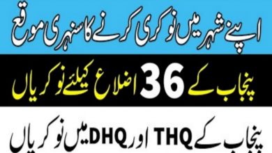 Health Department Punjab Data Entry Operator Jobs 2022