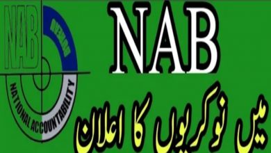 NAB Jobs 2022 for Junior Experts Download Form | www.nab.gov.pk