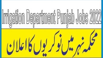 Irrigation Department Punjab Jobs 2022 Fill Out Online Form