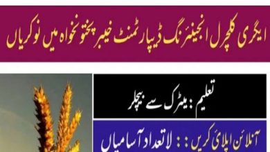 Agriculture Engineering Department KPK Jobs 2022 Form Download