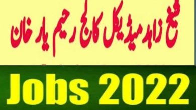 Sheikh Zayed Medical College Rahim Yar Khan Jobs 2022