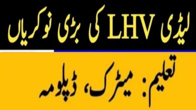 Lady Health Visitor LHV Jobs 2022 in Diamer & Astore