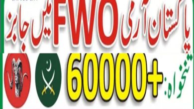 Frontier Works Organization FWO Jobs 2022 Form I Career.fow.com.pk