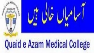 Quaid E Azam Medical College Jobs 2022 All Advertisements