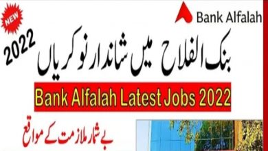 Bank Alfalah Internship Program 2022 – Fill Online Form