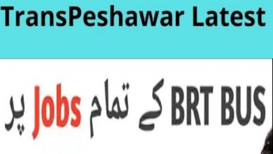 Urban Mobility Company TransPeshawar Jobs