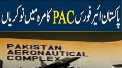 Pakistan Aeronautical Complex PAC Jobs 2022 Application Form