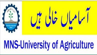 MNS University of Agriculture Multan Jobs 2022 – Download Form Online