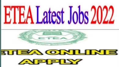 Treasuries and Accounts Department KPK Jobs 2022 via ETEA