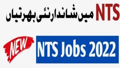 National Testing Services NTS Jobs 2022 Fill Online Form