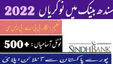 Sindh Bank Jobs 2022 in All Branches across Pakistan (500+ Vacancies)