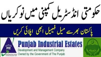 Latest Punjab Industrial Estates Development & Management Company PIEDMC Jobs