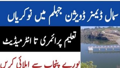 Small Dams Division Jhelum Jobs 2022