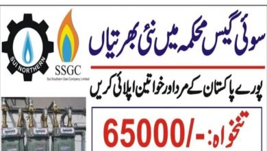 Sui Southern Gas Company SSGC Jobs 2022 | www.ssgc.com.pk