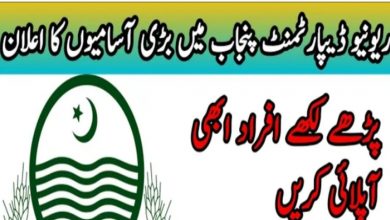 Assistant Commissioner Office Pir Mahal Jobs 2022 for Patwari