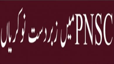 PNSC Jobs 2022 – Pakistan National Shipping Corporation – Form