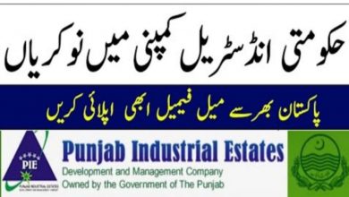 Punjab Industrial Estates Development & Management Company PIEDMC Jobs