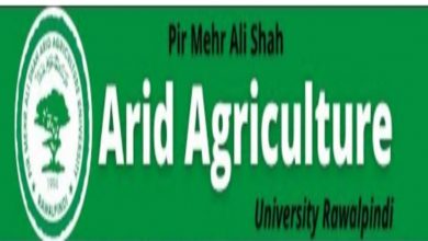 Pir Mehr Ali Shah Arid Agriculture University UAAR Jobs 2022