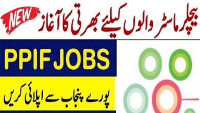 Punjab Population Innovation Fund PPIF Jobs 2022 | www.ppif.org.pk