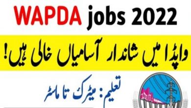 WAPDA Jobs 2022 | Download Form Online www.wapda.gov.pk