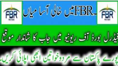 Federal Board of Revenue FBR Jobs 2022 Fill Online Form at NJP