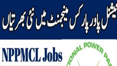 National Power Parks Management Company NPPMCL Jobs 2022