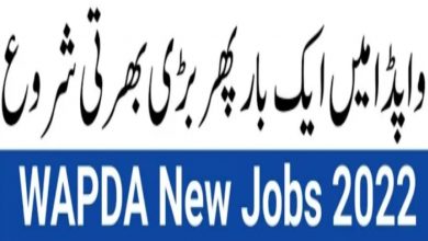 WAPDA Jobs