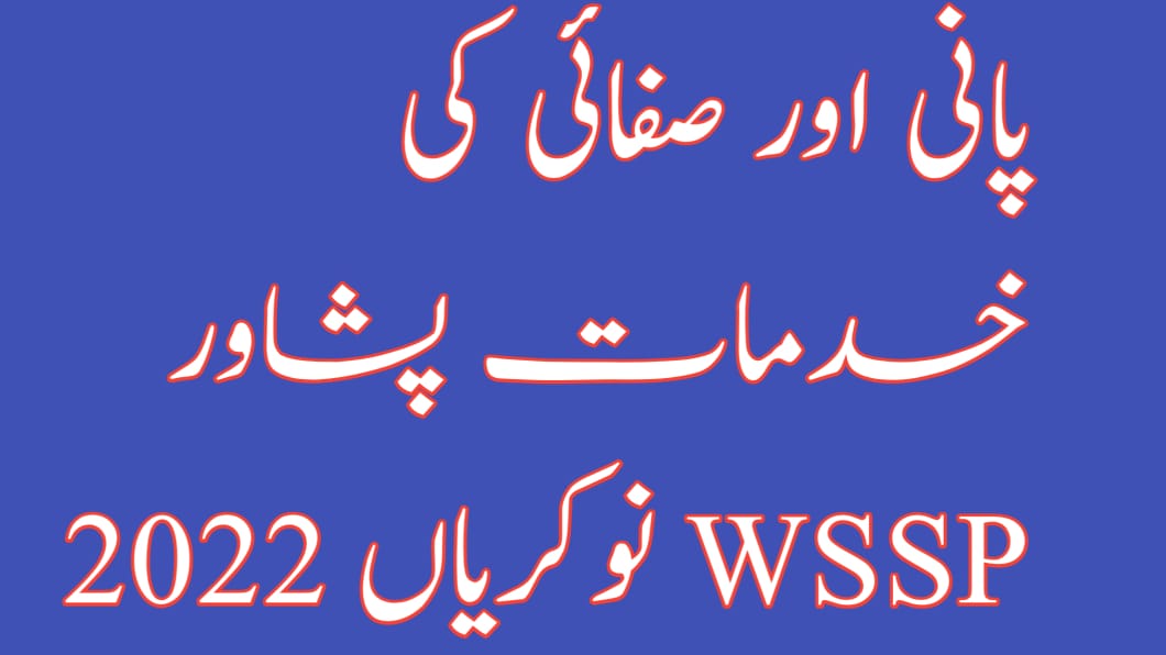 Water and Sanitation Services Peshawar WSSP Jobs 2022