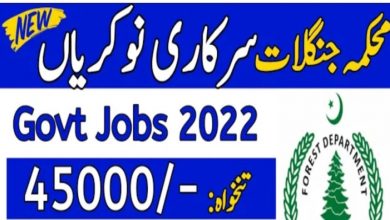 Forest Department Chitral Division Jobs 2022 | Fill Online ETEA Form