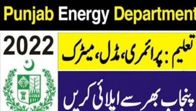 Punjab Energy Department Class IV Jobs 2022