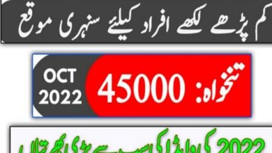 WAPDA Naib Qasid Jobs October 2022 | Download Employment Form