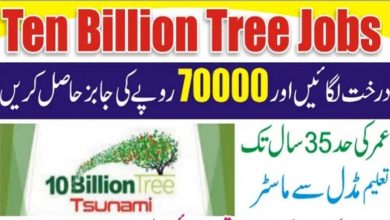 Ten Billion Tree Tsunami Programme TBTTP Jobs 2022 | MOCC Careers