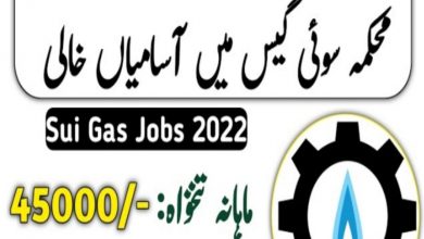 Sui Southern Gas Company SSGC Jobs November 2022