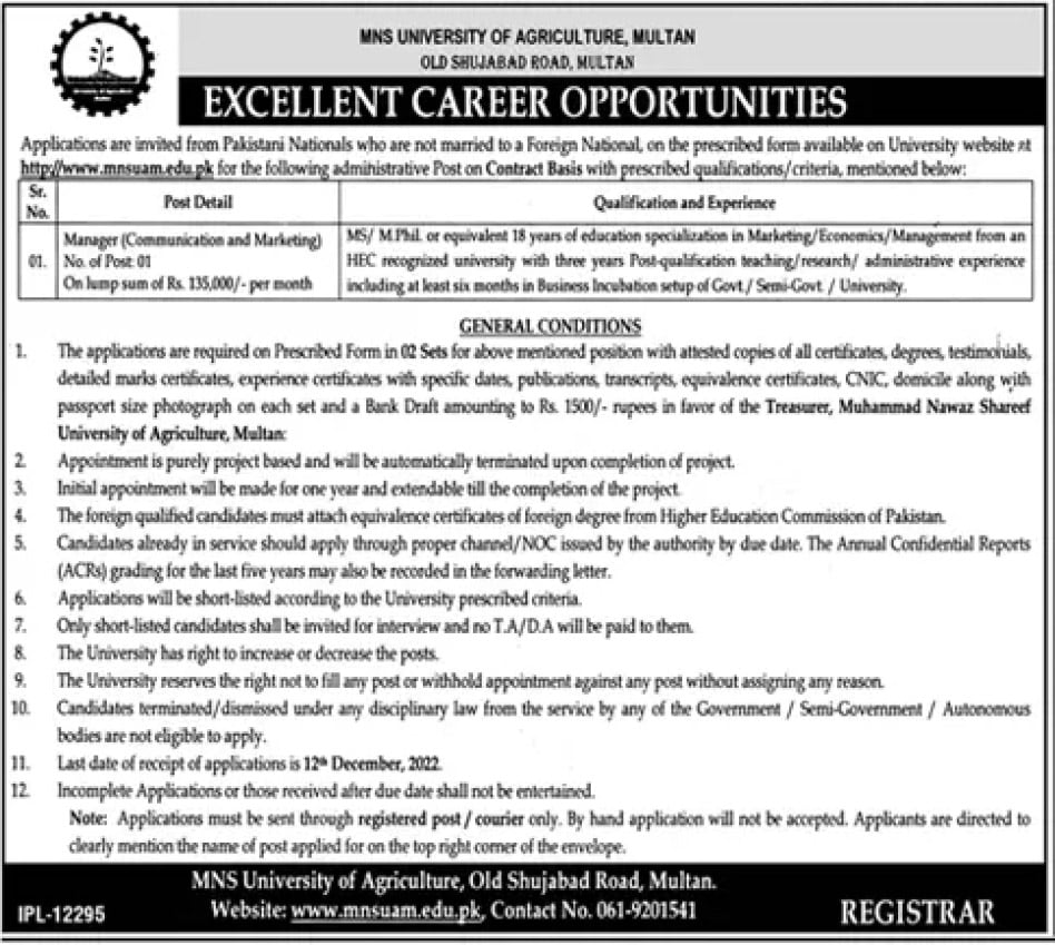 MNS University of Agriculture Multan Jobs November 2022