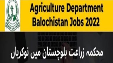 Agricultural Engineering Department Balochistan Jobs 2022